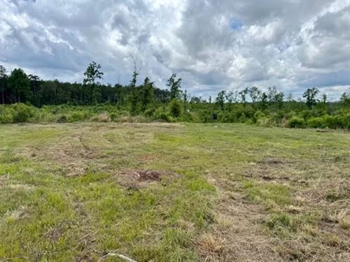 143 Acres, Plainview LA : Bogalusa : Washington Parish : Louisiana