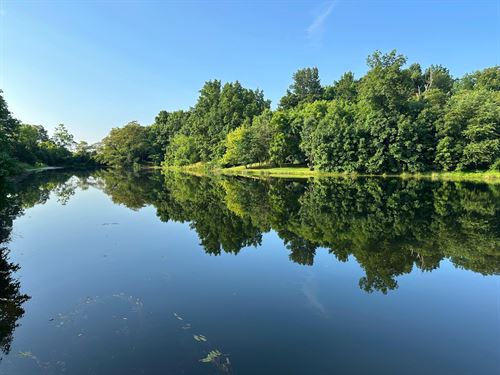 Hidden Lake Farm : Cynthiana : Scott County : Kentucky