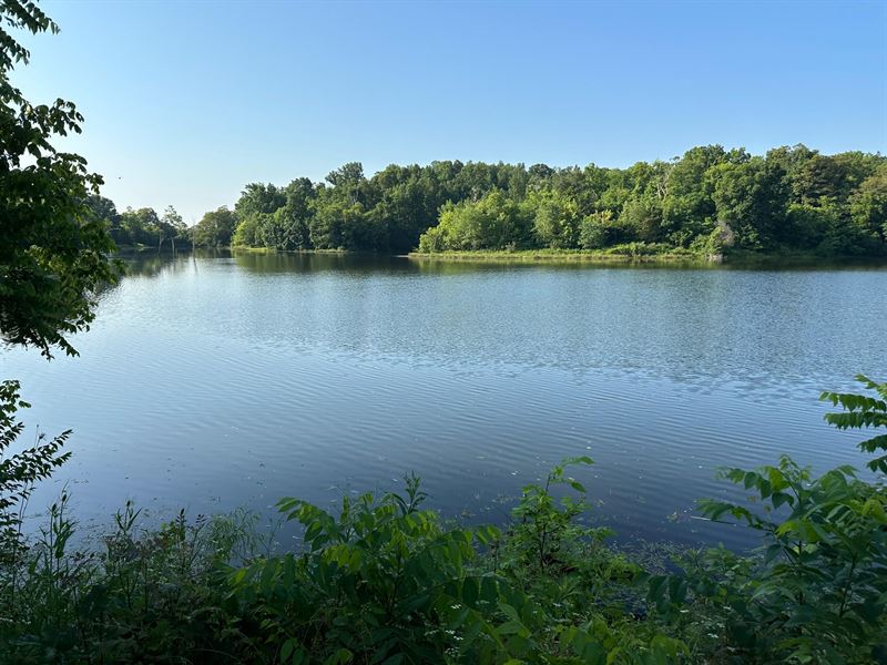 Hidden Lake Farm : Cynthiana : Scott County : Kentucky