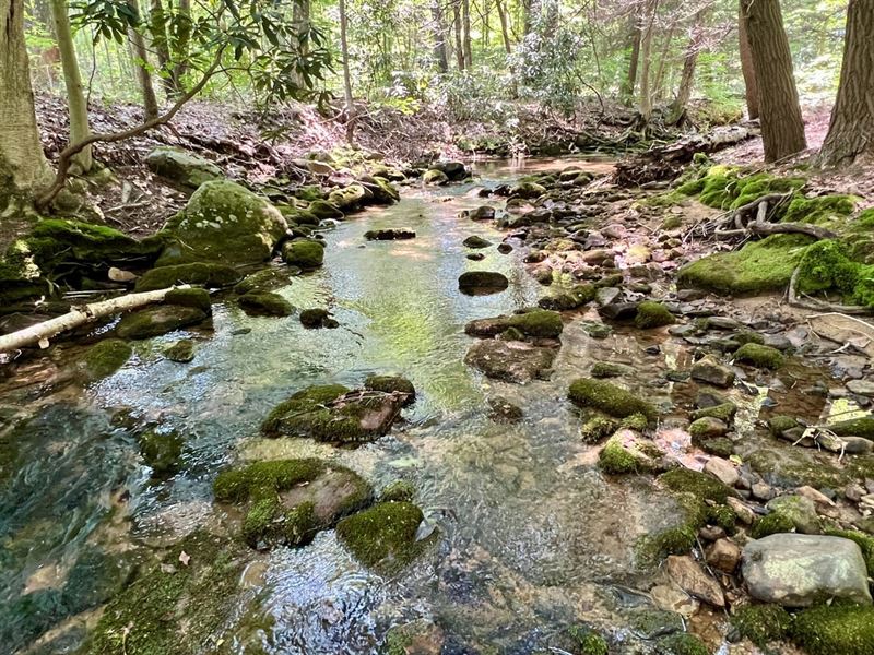 Fort Hill Rd, Somerset County, 10 : Addison : Somerset County : Pennsylvania