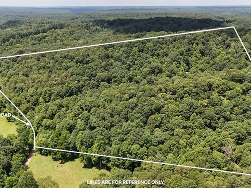 Sowers Rd, 50 Acres : McArthur : Vinton County : Ohio