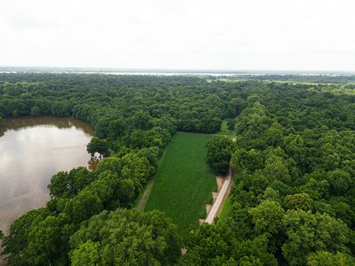 One Equity Share At Cow Island Hunt : Lake Cormorant : Desoto County : Mississippi