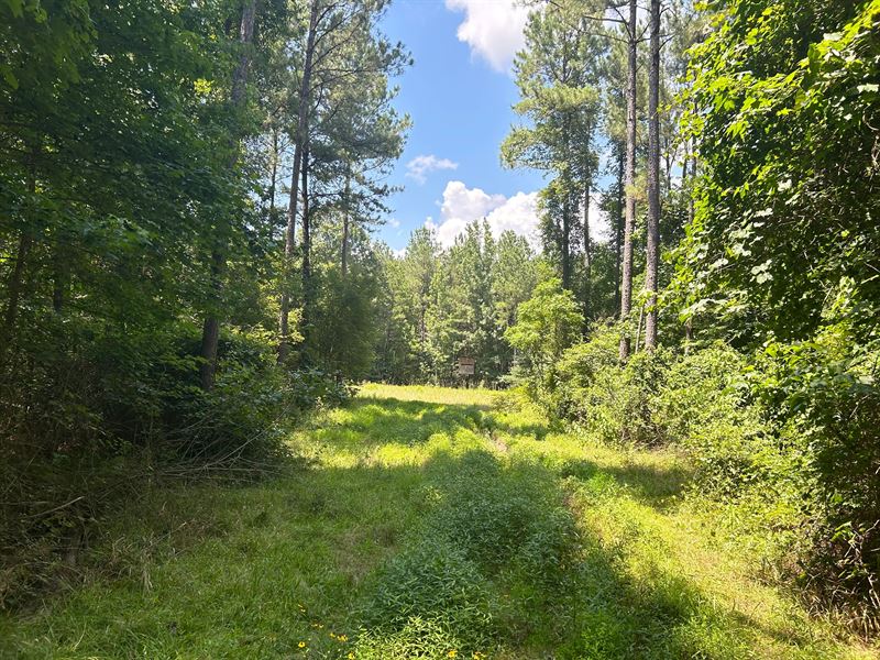 44 Acres in Rankin County, MS : Brandon : Rankin County : Mississippi