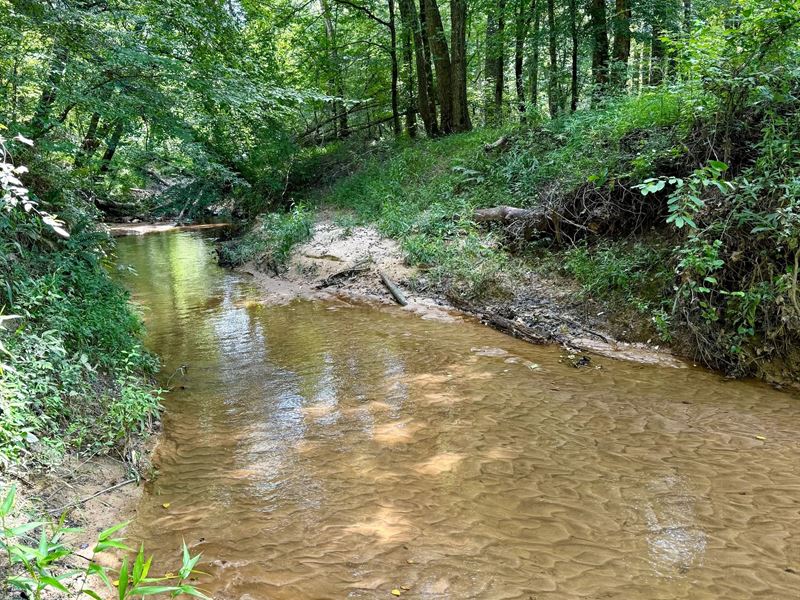 97 Acres with A Home in Oktibbeha : Sturgis : Oktibbeha County : Mississippi
