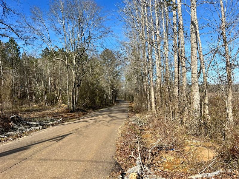 110 Acres in Scott County, MS : Forest : Scott County : Mississippi
