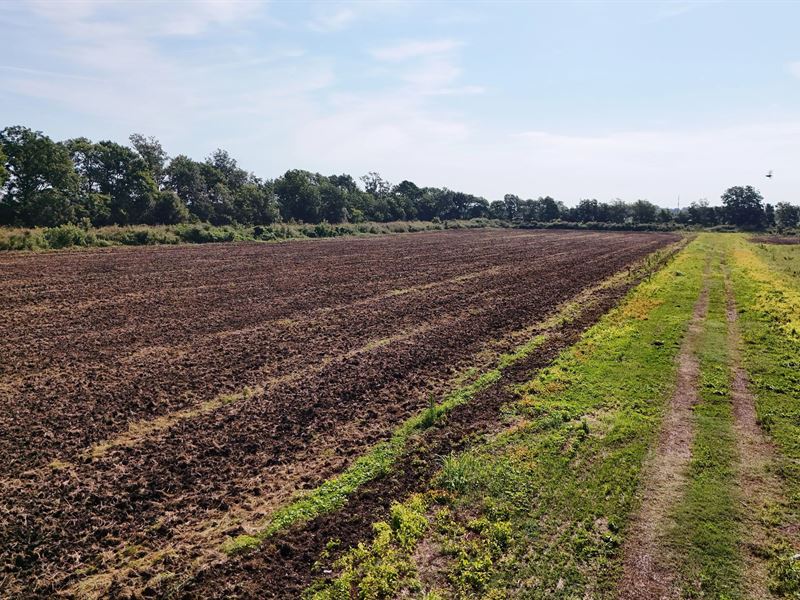 55.4 Acres in Copiah County, MS : Hazlehurst : Copiah County : Mississippi