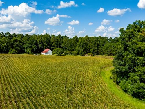 Sugar Creek Mini Farm : Bronwood : Terrell County : Georgia