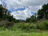 2194 Hwy 570 E, Summit, MS : Summit : Pike County : Mississippi