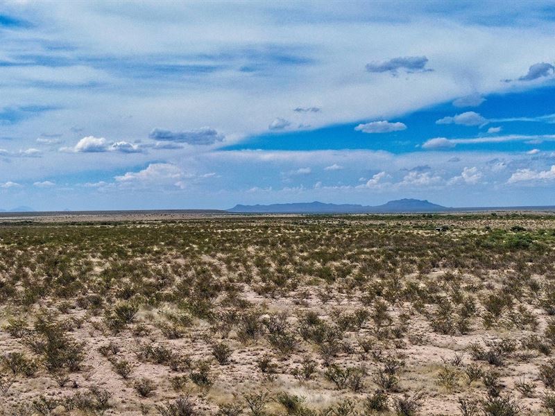 Your 20 Acre West Texas Haven Land : Sierra Blanca : Hudspeth County : Texas