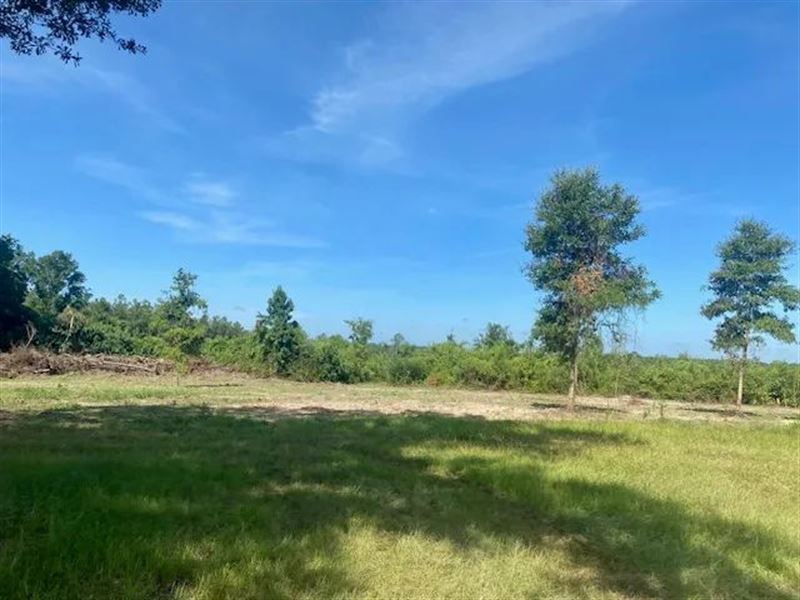 45 Acres Washington Parish LA : Bogalusa : Washington Parish : Louisiana