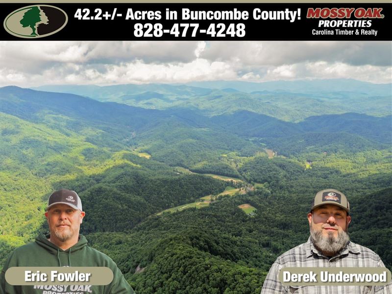 42 Acres Right Outside of Chim : Black Mountain : Buncombe County : North Carolina