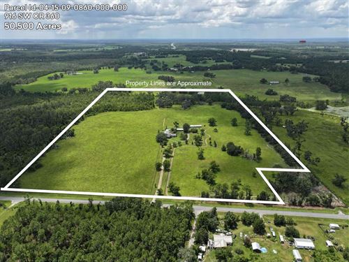 Expansive 50.5-Acre Estate With 4-B : Madison : Florida