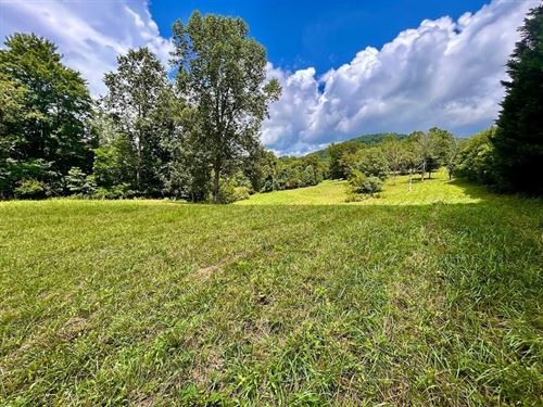 17.53 Acre Scenic Subdivision : Vinton : Bedford County : Virginia