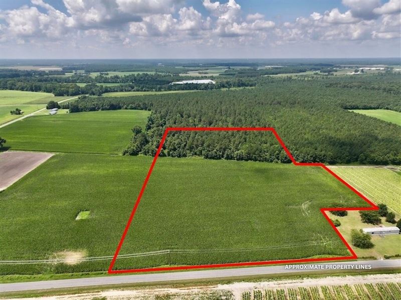 10.86 Acres of Residential and Recr : Snow Hill : Greene County : North Carolina