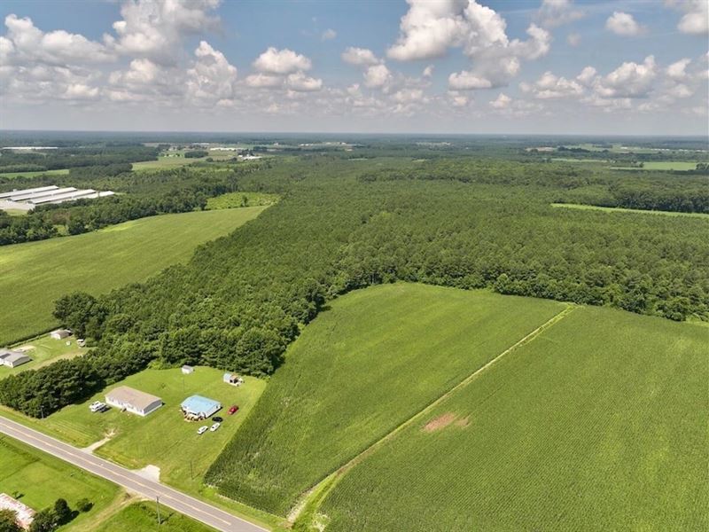 16.62 Acres of Recreational and Res : Snow Hill : Greene County : North Carolina