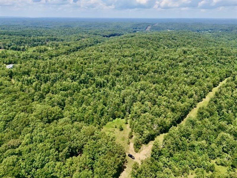 170-Acre Hunting Property Minutes : Waverly : Humphreys County : Tennessee