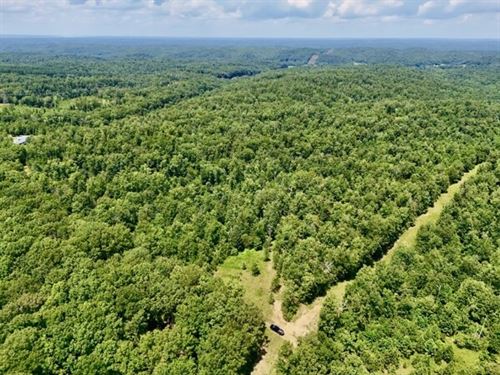 170-Acre Hunting Property Minutes : Waverly : Humphreys County : Tennessee