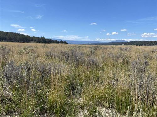 Escape to Nature : Sprague River : Klamath County : Oregon