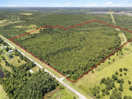 Calhoun 102 : Altha : Calhoun County : Florida