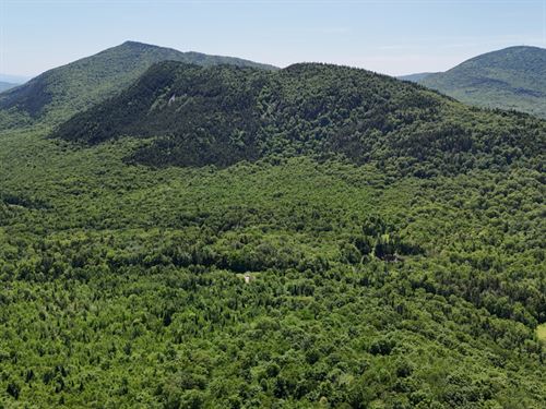 Umpire Brook Forest : Victory : Essex County : Vermont