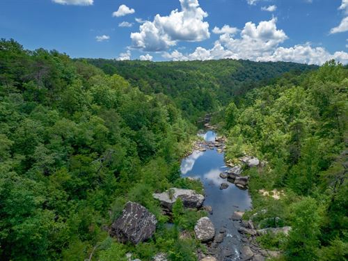 Premier 1,233 Acres Estate Borde : Mentone : Cherokee County : Alabama