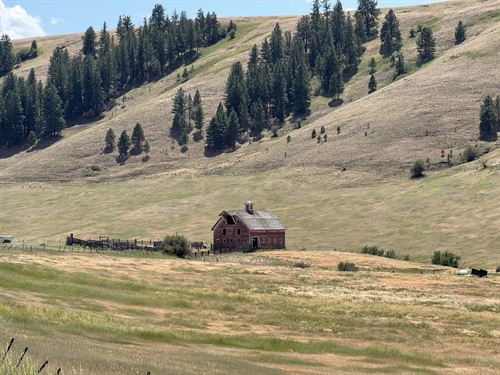 Crow Creek Ranch : Enterprise : Wallowa County : Oregon