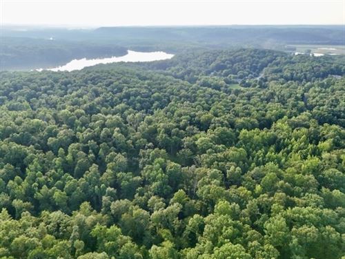 70.36 Acres in Near Lake Barkley : Dover : Stewart County : Tennessee