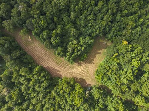 Noxubee Co. 46 : Brooksville : Noxubee County : Mississippi