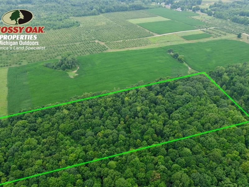 10 Acres / South Haven, MI / VA : Covert : Van Buren County : Michigan