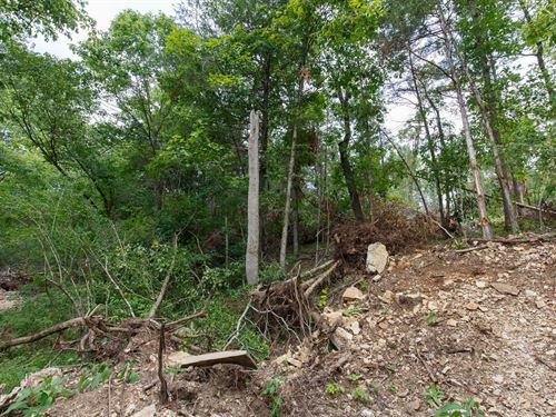 $999 Down Land Near Branson : Cedarcreek : Taney County : Missouri