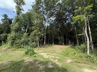 20 Ac Montgomery Rd, Summit, MS : Summit : Lincoln County : Mississippi