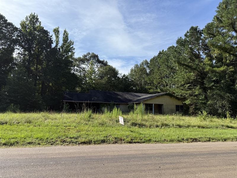 3145 Donegal Rd, Woodville, MS : Woodville : Wilkinson County : Mississippi