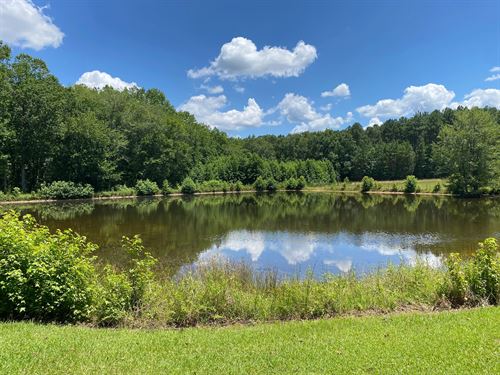 10.89 Acres on Snow Road Parcel : Pelzer : Greenville County : South Carolina