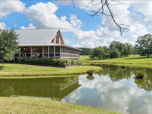 437 Acre Cattle Ranch in Smith Coun : Forest : Smith County : Mississippi