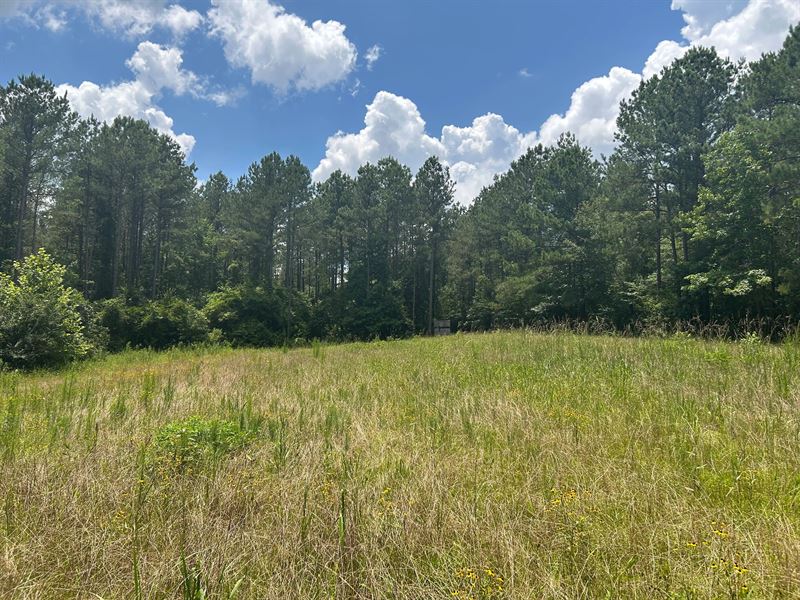 103.5 Acres in Rankin County, MS : Brandon : Rankin County : Mississippi
