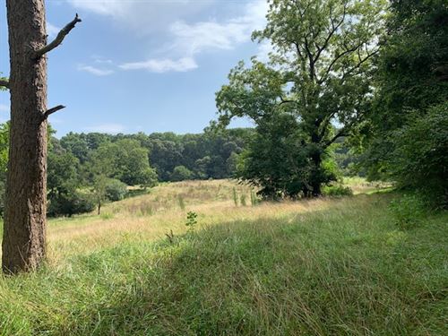 Northeast Georgia Farmland : Maysville : Jackson County : Georgia