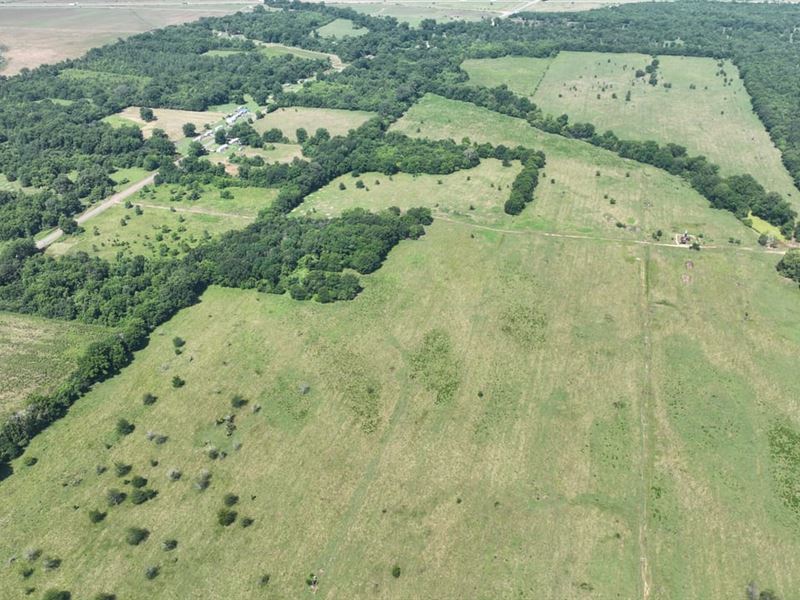 Belcher Cattle Property, Caddo Pari : Belcher : Caddo Parish : Louisiana