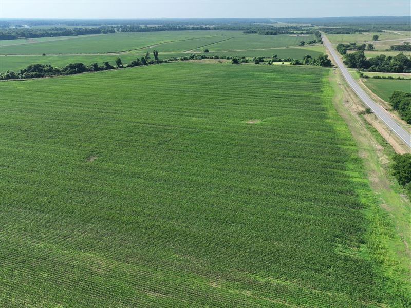 Dixie Ag Property, Caddo Parish, LA : Shreveport : Caddo Parish : Louisiana
