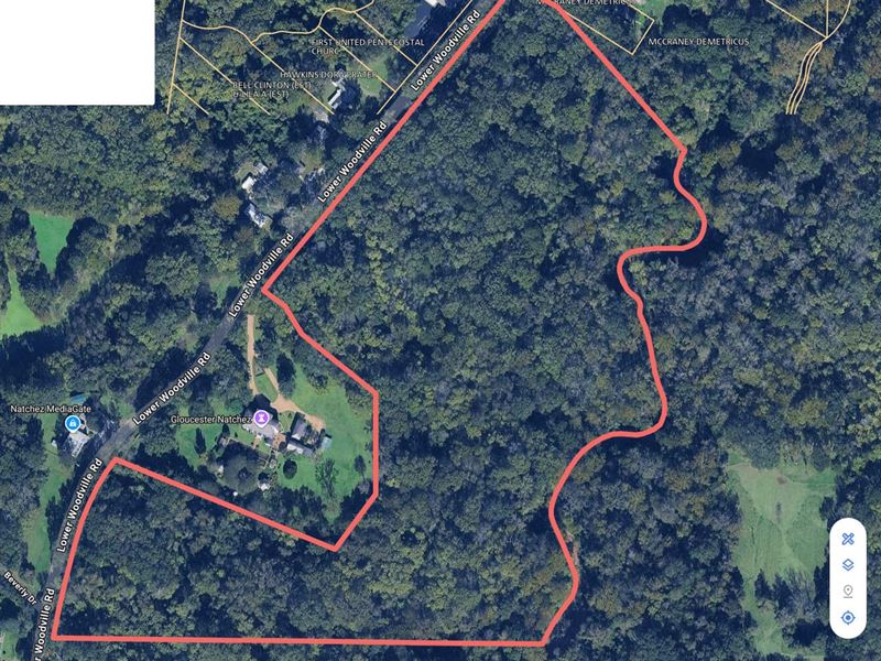 45.5 Acres, Gloucester 45 : Natchez : Adams County : Mississippi