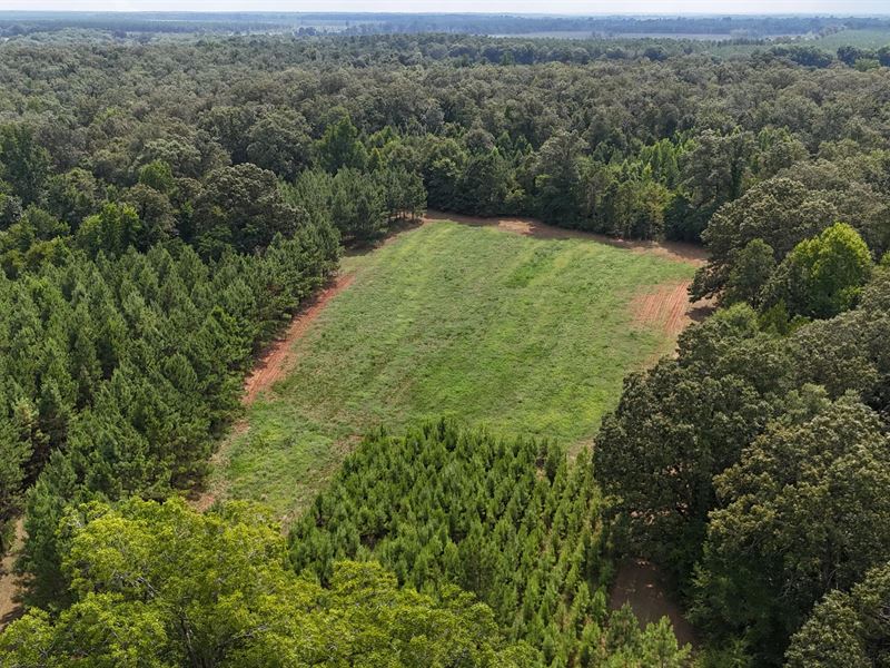444 Acres in Sumter County, GA : Plains : Sumter County : Georgia