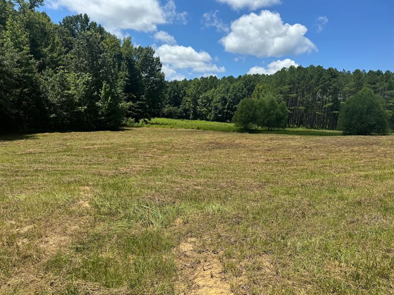 41.14 Acres in Calhoun County, MS : Banner : Calhoun County : Mississippi