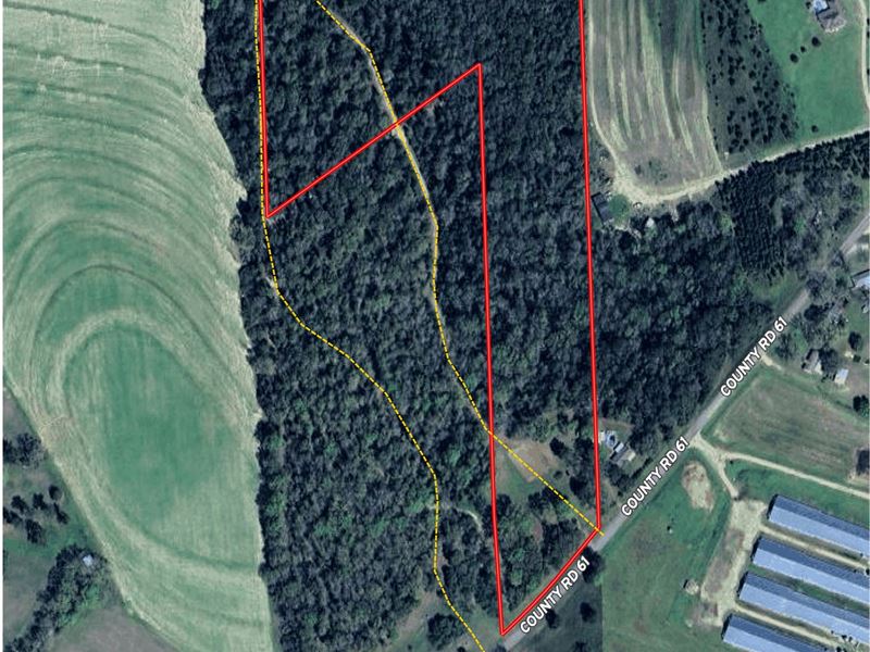 For Sale-Al Dale Co Rd 61 18Ac : Midland City : Dale County : Alabama