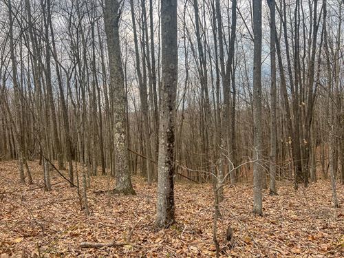 Ponetown Rd Lot 3 : Ray : Vinton County : Ohio