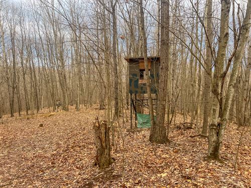 Ponetown/Hutt Rd Lot 4 : Ray : Vinton County : Ohio