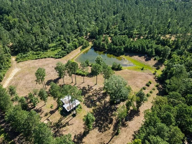Osyka MS Hunting Land with Pond : Osyka : Pike County : Mississippi