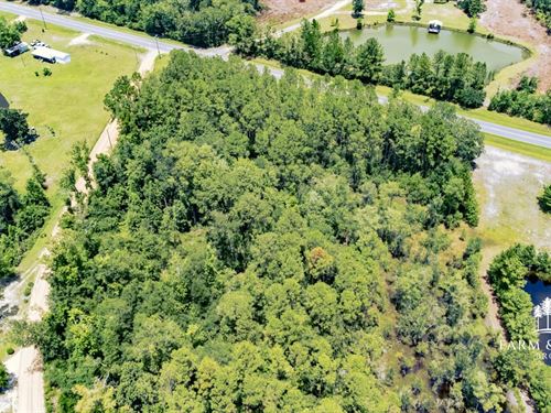 64 Ac Homesite With Timber, Power : Hosford : Liberty County : Florida