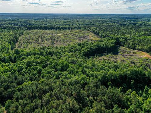 Coles Creek 79.5 Acres : Thaxton : Lafayette County : Mississippi