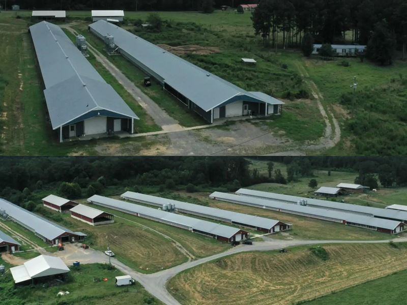 Jtc Breeder Farm : Old Fort : Bradley County : Tennessee
