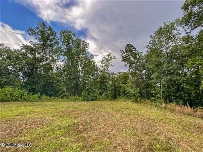 95 Acres Of Prime Hunting Property : Utica : Hinds County : Mississippi