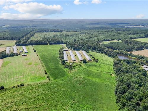 Active Poultry Farm : Star : Montgomery County : North Carolina